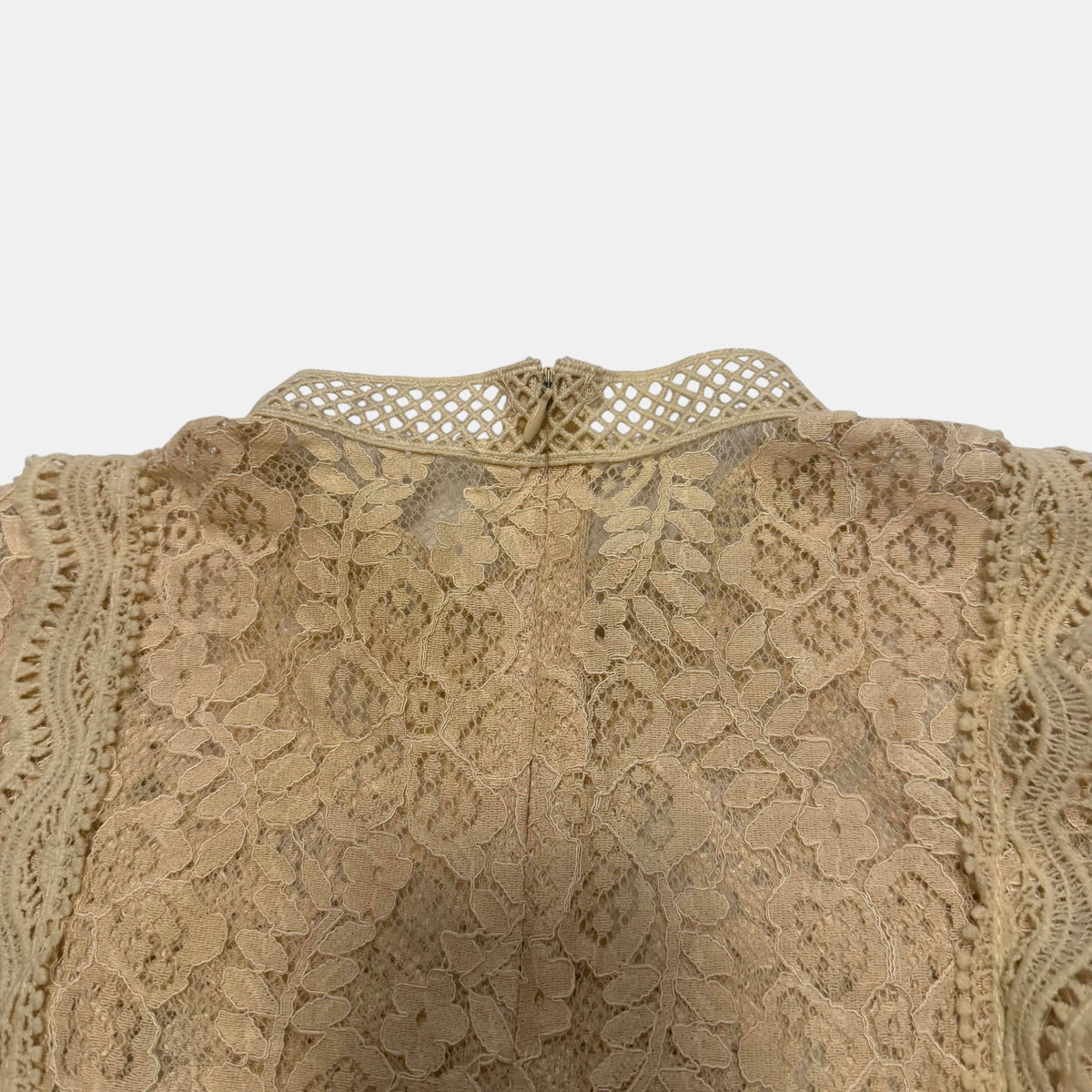 Floral Lace Mock Neck Crop Top Sleeveless Scalloped Hem Beige